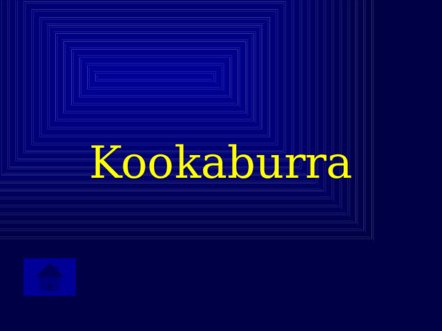 Kookaburra 