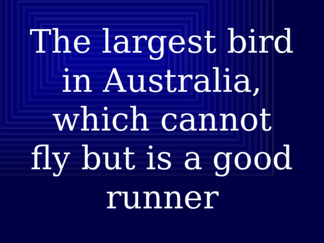 The largest bird in Australia, which cannot fly but is a good runner 