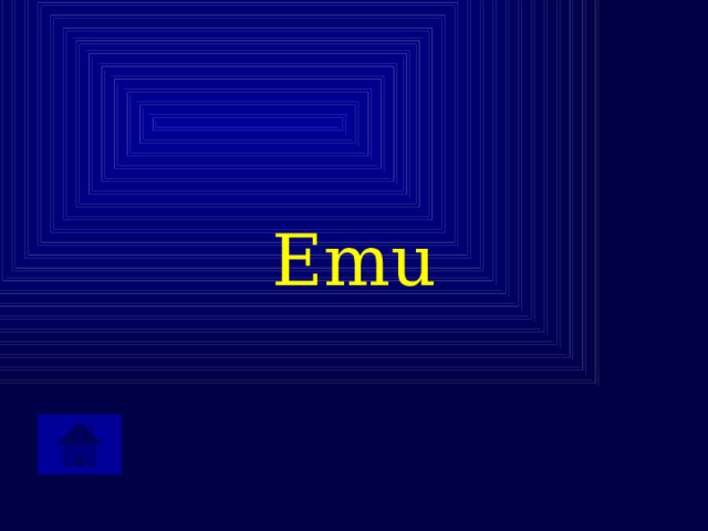 Emu 