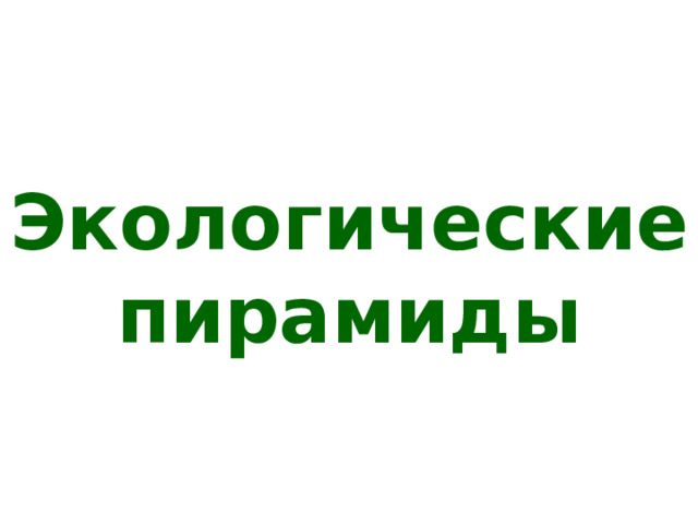 Экологические пирамиды 