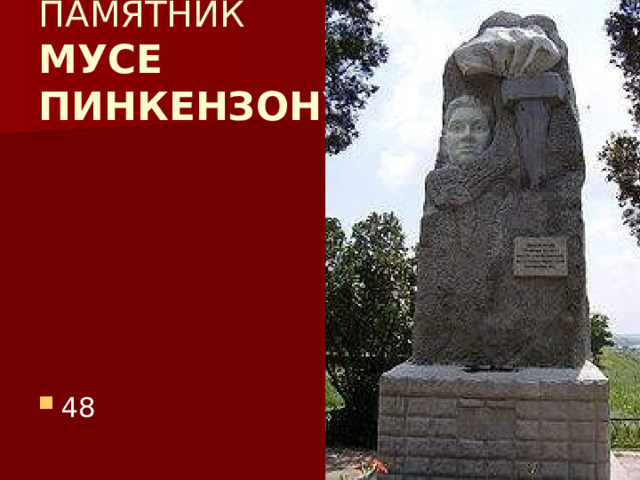 ПАМЯТНИК  МУСЕ  ПИНКЕНЗОНУ 48 