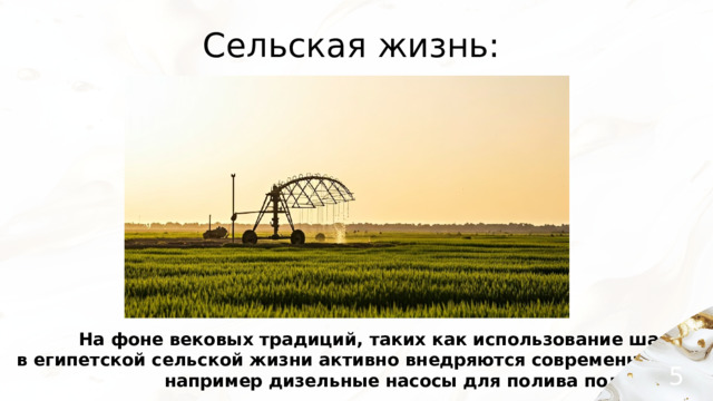 Сельская жизнь: На фоне вековых традиций, таких как использование шадуфов, в египетской сельской жизни активно внедряются современные технологии, например дизельные насосы для полива полей. 5 