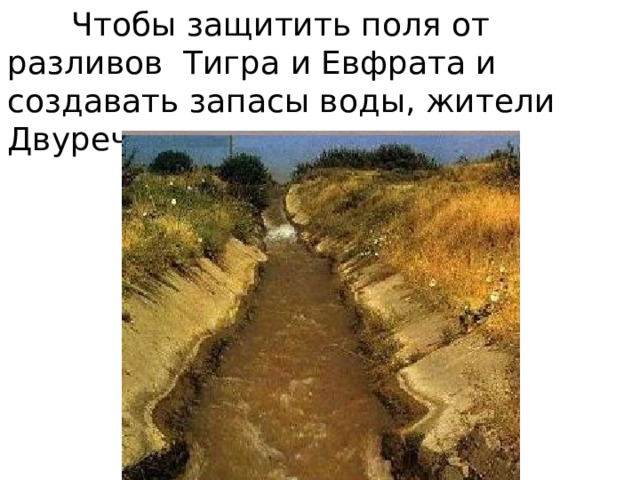  Чтобы защитить поля от разливов Тигра и Евфрата и создавать запасы воды, жители Двуречья рыли каналы. 