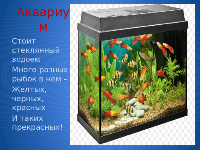 Аквариум Стоит стеклянный водоем Много разных рыбок в нем – Желтых, черных, красных И таких прекрасных! 