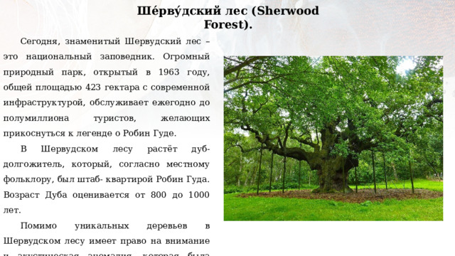 Ше́рву́дский лес (Sherwood Forest). Сегодня, знаменитый Шервудский лес – это национальный заповедник. Огромный природный парк, открытый в 1963 году, общей площадью 423 гектара с современной инфраструктурой, обслуживает ежегодно до полумиллиона туристов, желающих прикоснуться к легенде о Робин Гуде. В Шервудском лесу растёт дуб-долгожитель, который, согласно местному фольклору, был штаб- квартирой Робин Гуда. Возраст Дуба оценивается от 800 до 1000 лет. Помимо уникальных деревьев в Шервудском лесу имеет право на внимание и акустическая аномалия, которая была обнаружена сравнительно недавно. 