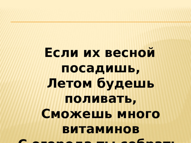 Если их весной посадишь,  Летом будешь поливать,  Сможешь много витаминов  С огорода ты собрать.   