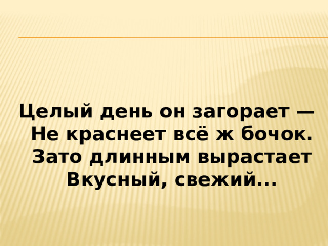    Целый день он загорает —  Не краснеет всё ж бочок.  Зато длинным вырастает  Вкусный, свежий...   