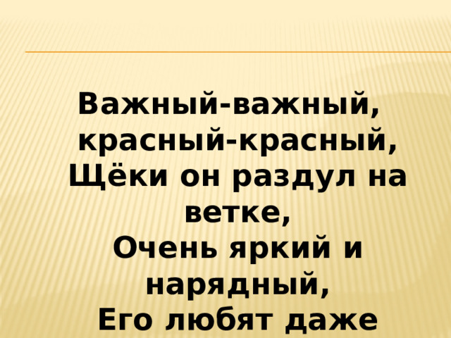 Важный-важный, красный-красный,  Щёки он раздул на ветке,  Очень яркий и нарядный,  Его любят даже детки.   