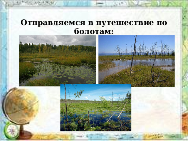 Отправляемся в путешествие по болотам: 