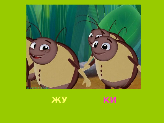 ЖУ КИ 