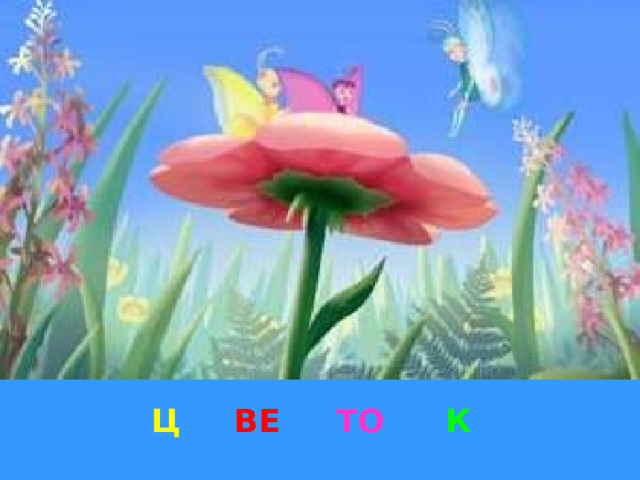 Ц ВЕ ТО К 