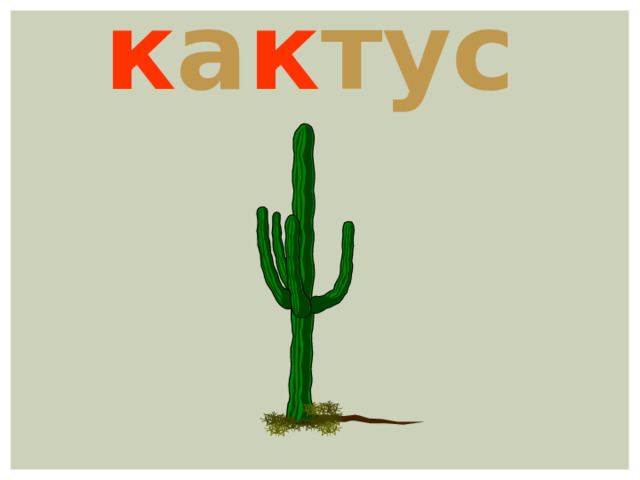 к а к тус 