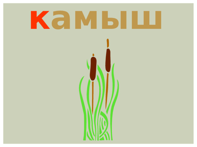к амыш 