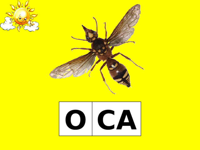 О СА 