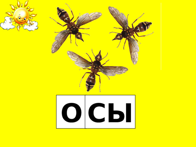 О СЫ 