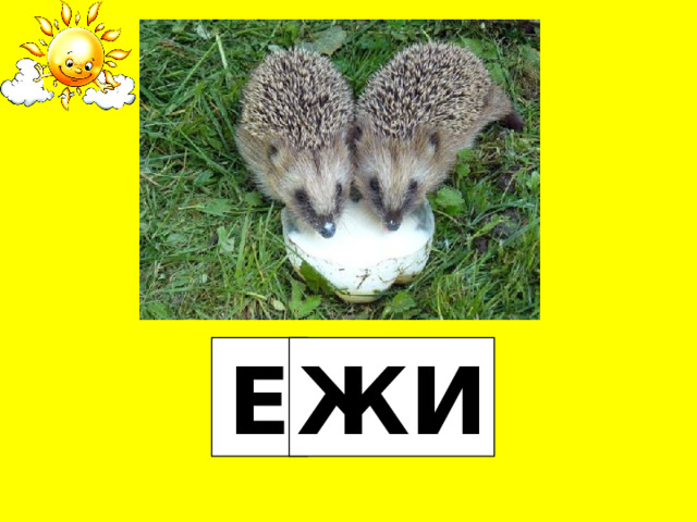 Е ЖИ 