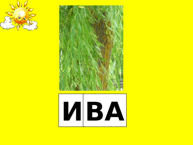 И ВА 