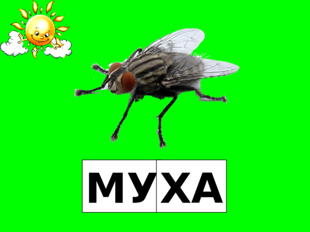 МУ ХА 