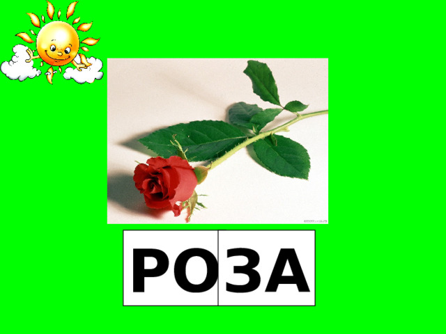 РО ЗА 