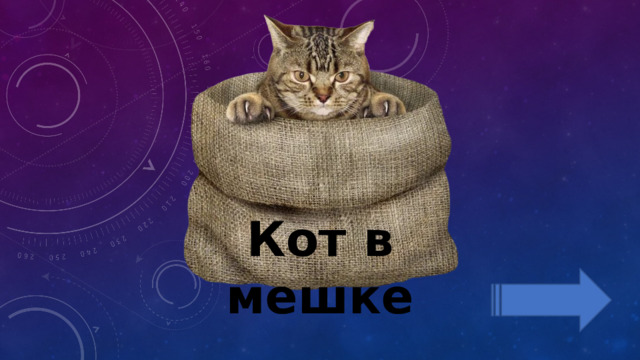 Кот в мешке 