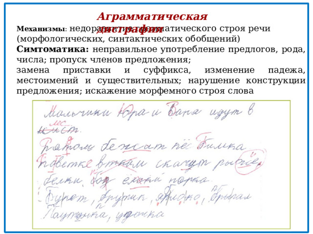 Аграмматическая дисграфия Механизмы : недоразвитие грамматического строя речи (морфологических, синтактических обобщений) Симтоматика: неправильное употребление предлогов, рода, числа; пропуск членов предложения; замена приставки и суффикса, изменение падежа, местоимений и существительных; нарушение конструкции предложения; искажение морфемного строя слова 