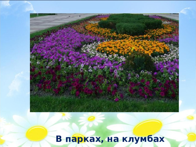  В парках, на клумбах 