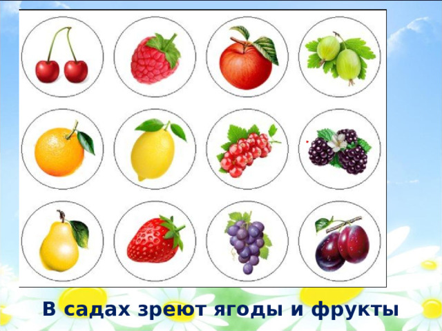 В садах зреют ягоды и фрукты 