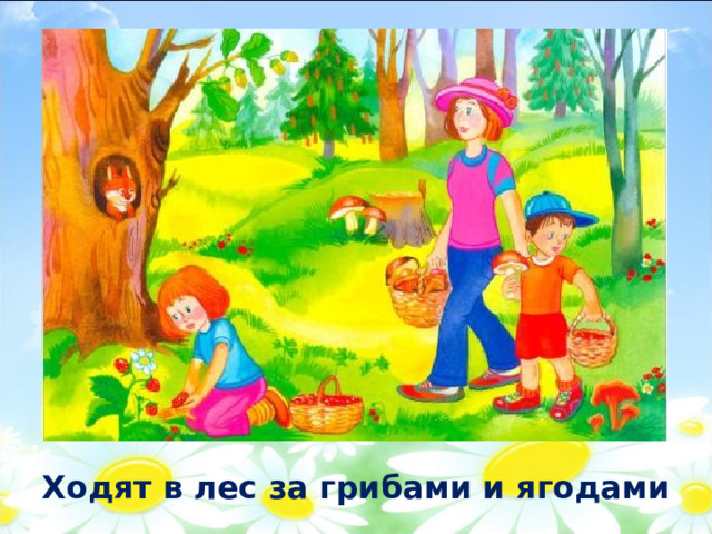 Ходят в лес за грибами и ягодами 
