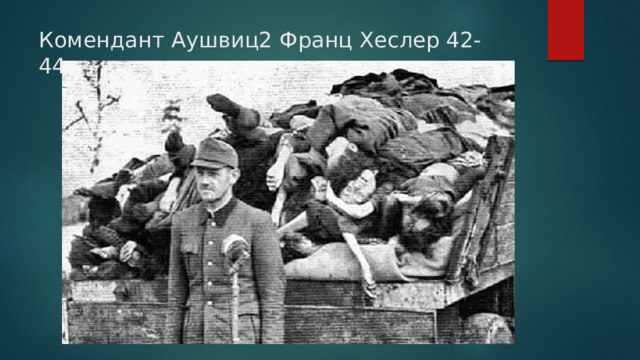 Комендант Аушвиц2 Франц Хеслер 42-44гг. 