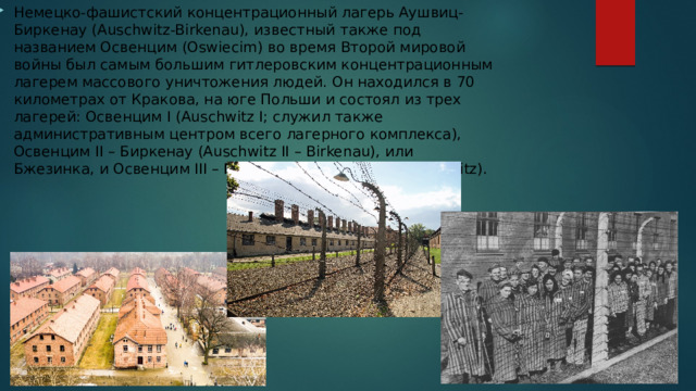 Немецко-фашистский концентрационный лагерь Аушвиц-Биркенау (Auschwitz-Birkenau), известный также под названием Освенцим (Oswiecim) во время Второй мировой войны был самым большим гитлеровским концентрационным лагерем массового уничтожения людей. Он находился в 70 километрах от Кракова, на юге Польши и состоял из трех лагерей: Освенцим I (Auschwitz I; служил также административным центром всего лагерного комплекса), Освенцим II – Биркенау (Auschwitz II – Birkenau), или Бжезинка, и Освенцим III – Моновиц (Auschwitz III – Monowitz). 