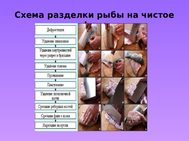 Схема разделки рыбы на чистое филе 