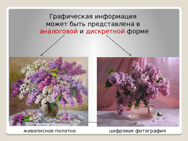 Графическая информация может быть представлена в аналоговой и дискретной форме живописное полотно цифровая фотография 