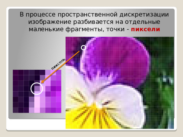 пиксель В процессе пространственной дискретизации изображение разбивается на отдельные маленькие фрагменты, точки - пиксели 