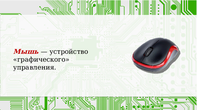 Мышь — устройство «графического» управления. 