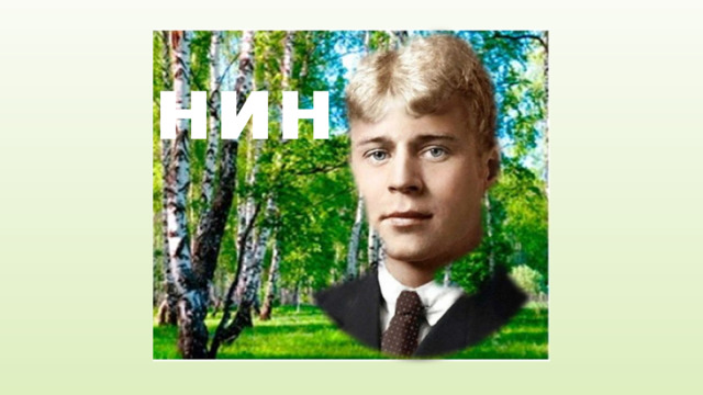 нин 