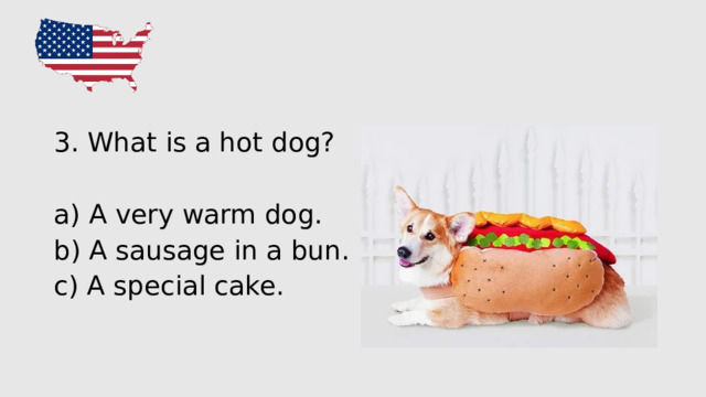 3 . What is a hot dog? a) A very warm dog. b) A sausage in a bun. c) A special cake. 
