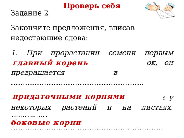 Проверь себя Задание 2 Закончите предложения, вписав недостающие слова: 1. При прорастании семени первым развивается зародышевый корешок, он превращается в … ……………………………………………….. 2. Корни, образующиеся на стеблях, а у некоторых растений и на листьях, называют ……………… ………………………………………………………. 3. От главного и придаточных корней отходят  ………………………………………….. главный корень придаточными корнями боковые корни 