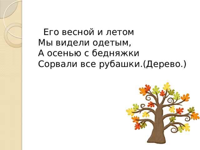 Его весной и летом  Мы видели одетым,  А осенью с бедняжки  Сорвали все рубашки.(Дерево.) 