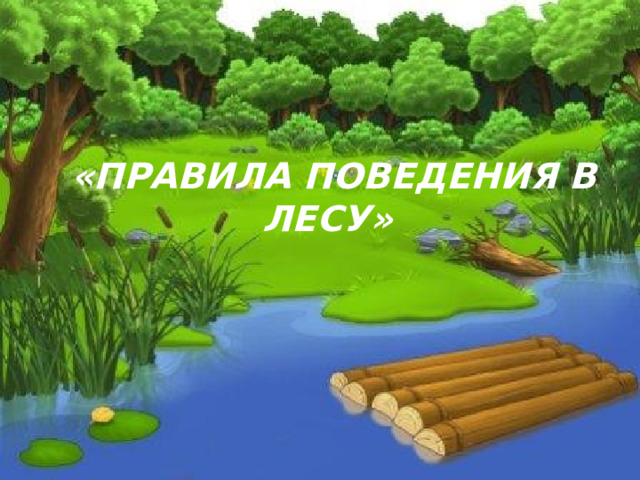  «Правила поведения в лесу» 