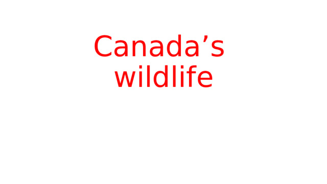 Canada’s wildlife 