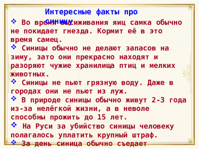 Интересные факты про синицу  Во время высиживания яиц самка обычно не покидает гнезда. Кормит её в это время самец.  Синицы обычно не делают запасов на зиму, зато они прекрасно находят и разоряют чужие хранилища птиц и мелких животных.  Синицы не пьют грязную воду. Даже в городах они не пьют из луж.  В природе синицы обычно живут 2-3 года из-за нелёгкой жизни, а в неволе способны прожить до 15 лет.  На Руси за убийство синицы человеку полагалось уплатить крупный штраф.  За день синица обычно съедает количество пищи, равноценное её весу. 