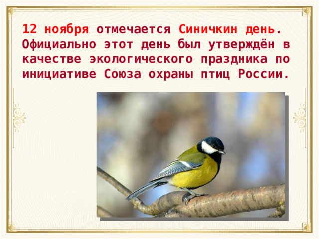 12 ноября отмечается Синичкин день . Официально этот день был утверждён в качестве экологического праздника по инициативе Союза охраны птиц России. 