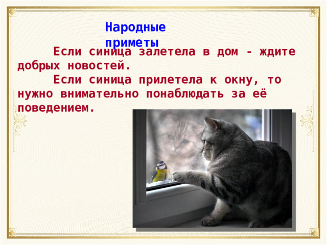 Народные приметы  Если синица залетела в дом - ждите добрых новостей.  Если синица прилетела к окну, то нужно внимательно понаблюдать за её поведением. 