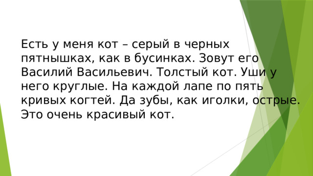 Есть у меня кот – серый в черных пятнышках, как в бусинках. Зовут его Василий Васильевич. Толстый кот. Уши у него круглые. На каждой лапе по пять кривых когтей. Да зубы, как иголки, острые. Это очень красивый кот. 