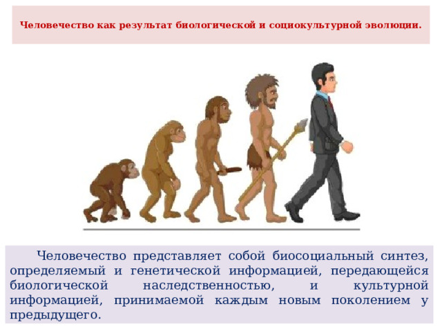  Человечество как результат биологической и социокультурной эволюции.    Человечество представляет собой биосоциальный синтез, определяемый и генетической информацией, передающейся биологической наследственностью, и культурной информацией, принимаемой каждым новым поколением у предыдущего. 