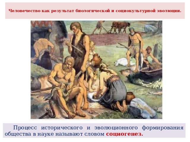  Человечество как результат биологической и социокультурной эволюции.    Процесс исторического и эволюционного формирования общества в науке называют словом социогенез. 