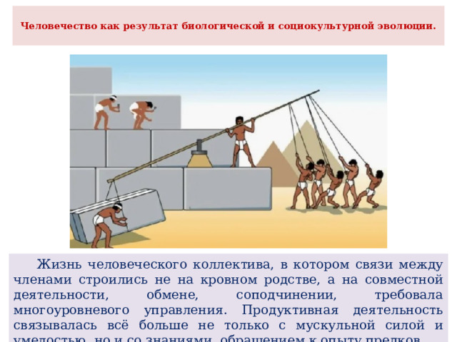  Человечество как результат биологической и социокультурной эволюции.    Жизнь человеческого коллектива, в котором связи между членами строились не на кровном родстве, а на совместной деятельности, обмене, соподчинении, требовала многоуровневого управления. Продуктивная деятельность связывалась всё больше не только с мускульной силой и умелостью, но и со знаниями, обращением к опыту предков. 