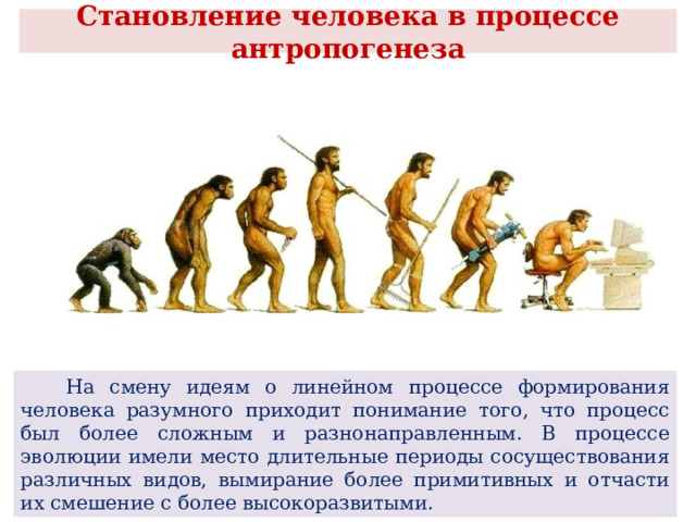  Становление человека в процессе антропогенеза    На смену идеям о линейном процессе формирования человека разумного приходит понимание того, что процесс был более сложным и разнонаправленным. В процессе эволюции имели место длительные периоды сосуществования различных видов, вымирание более примитивных и отчасти их смешение с более высокоразвитыми. 