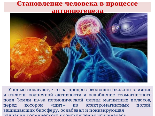  Становление человека в процессе антропогенеза    Учёные полагают, что на процесс эволюции оказали влияние и степень солнечной активности и ослабление геомагнитного поля Земли из-за периодической смены магнитных полюсов, перед которой «щит» из электромагнитных полей, защищающих биосферу, ослабевал и ионизирующая радиация космического происхождения усиливалась. 