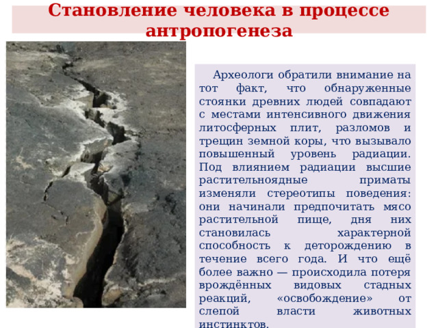  Становление человека в процессе антропогенеза    Археологи обратили внимание на тот факт, что обнаруженные стоянки древних людей совпадают с местами интенсивного движения литосферных плит, разломов и трещин земной коры, что вызывало повышенный уровень радиации. Под влиянием радиации высшие растительноядные приматы изменяли стереотипы поведения: они начинали предпочитать мясо растительной пище, дня них становилась характерной способность к деторождению в течение всего года. И что ещё более важно — происходила потеря врождённых видовых стадных реакций, «освобождение» от слепой власти животных инстинктов. 